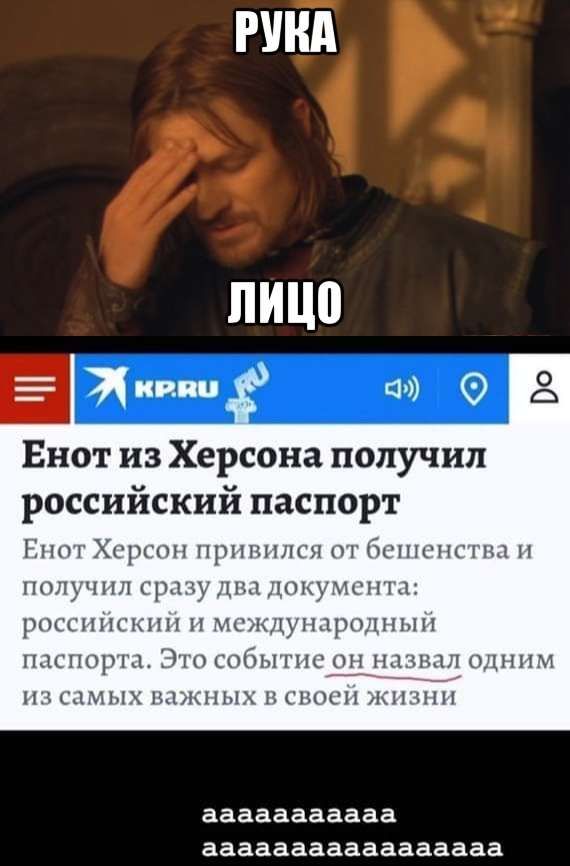 РУНА Енот из Херсона получил российский паспорт ННПіХсрщпіпрпнплглпіБишснгныъі чпл у лиц дощ с А РОССППК НПП П СЪ НАРОДНЫМ шишры 171 о Ш ш ил ыммх мкпых и см Т Ё ааааааааааа ааааааааааааааааа