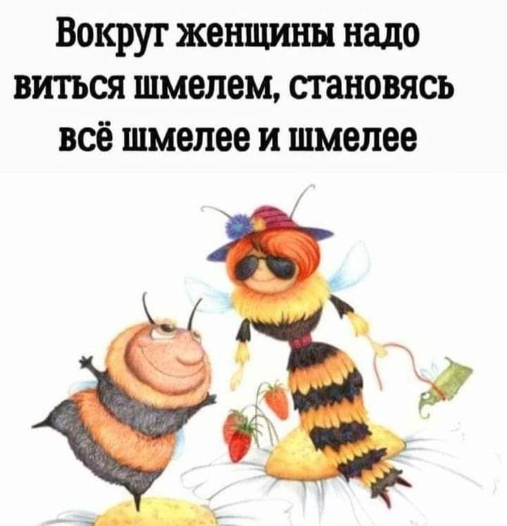 Вокруг женщины надо виться шмепем становясь всё шмелее и шмелее