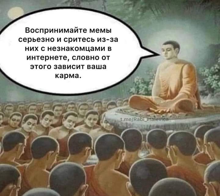 воспринимайте мемы серьезно и сритесь из за них неэнакпмцами в интернете словно от эшго зависит ваша карма