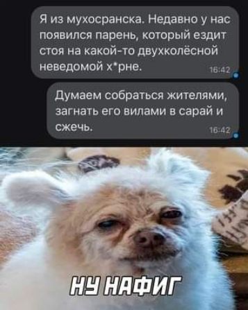 я из мухосранска Недавно у нас появился парень который ездит стоя на какойто двухколёсной неведомой рна _ думаем собраться жителями загнать его вилами в сарай и сжечь