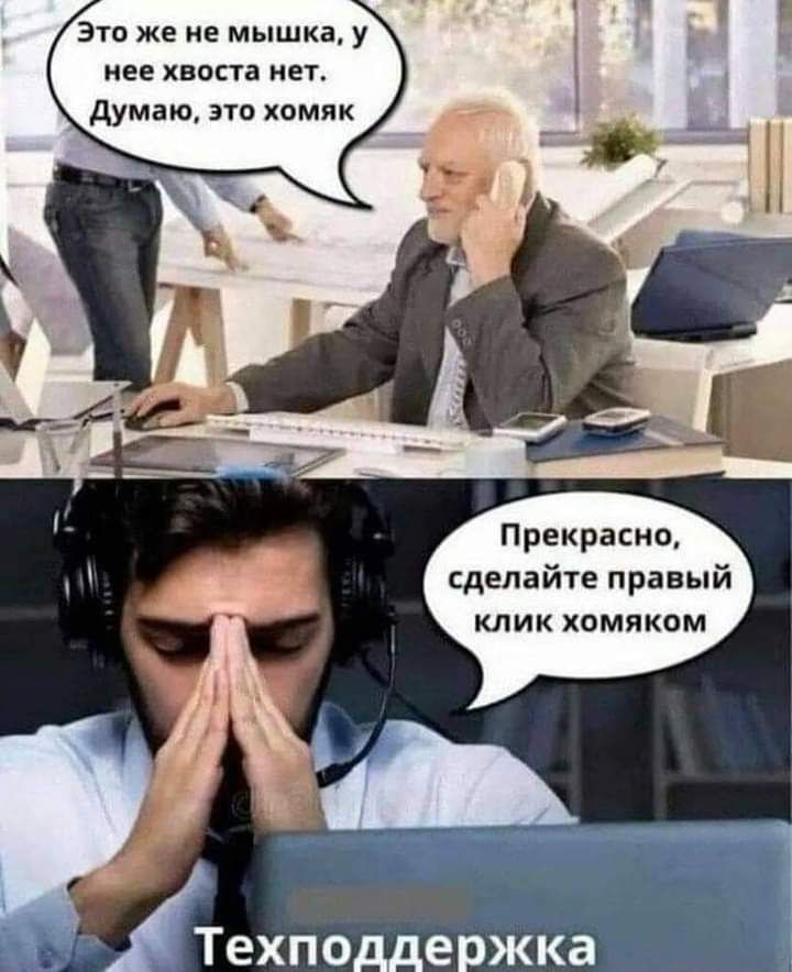Это же не мышка у ее хваста ин думаю это хомяк Прекрасно сделайте правый клик хомяком