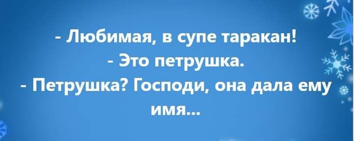 Любимая супе таракан 3т ПЕТРУШКд за Петрушин Господи она дала ему 3 имя