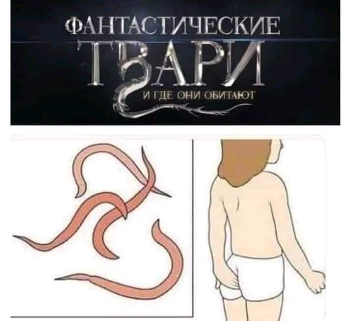 ФА ТАСТИ В 7