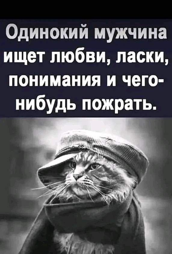 Одинокий мужчина ищет любви ласки понимания и чего нибудь пожрать