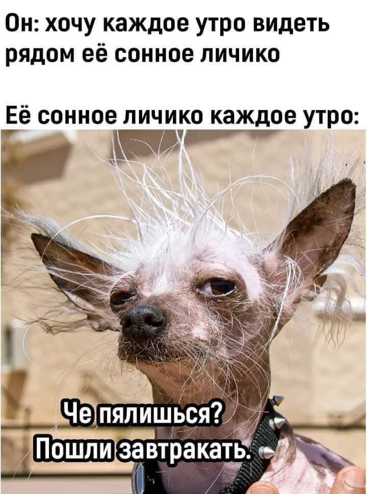 Он хочу каждое утро видеть рядом её сонное личико е СОННОВ ПИЧИКО каждое УТРО 51 Р