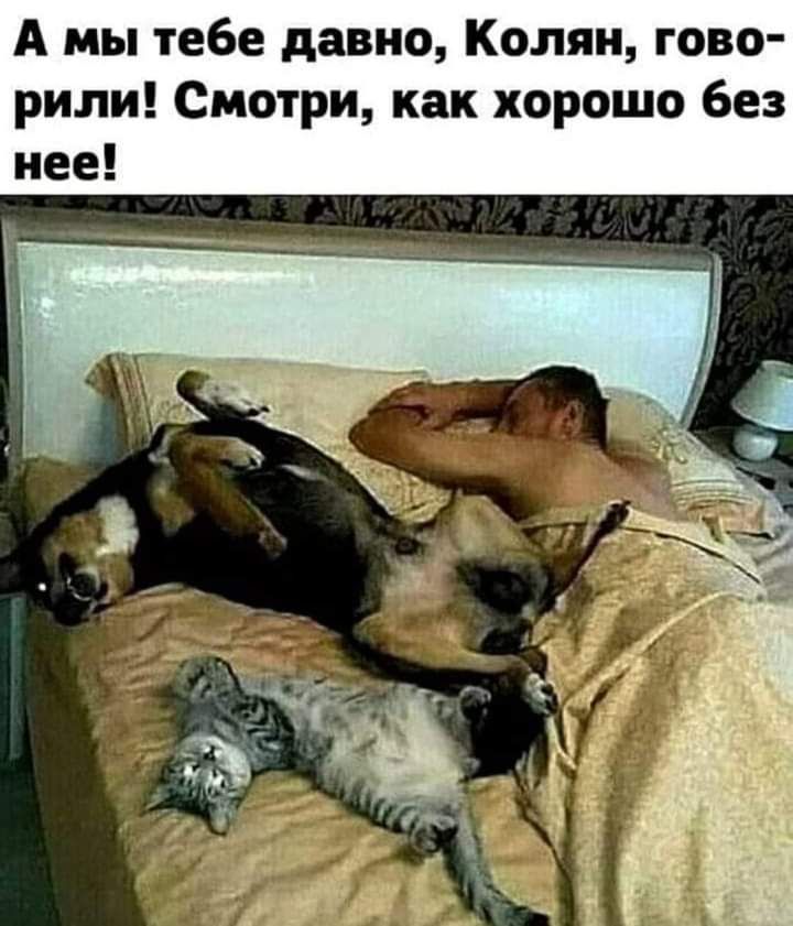 А мы тебе давно Колян гово рили Смотри как хорошо без нее