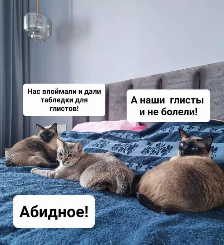 Наснппймапиипали Уабпедкидля А наши глисты глист и не болели