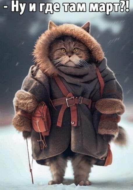 Ну и гдеБШШмашЁи ё