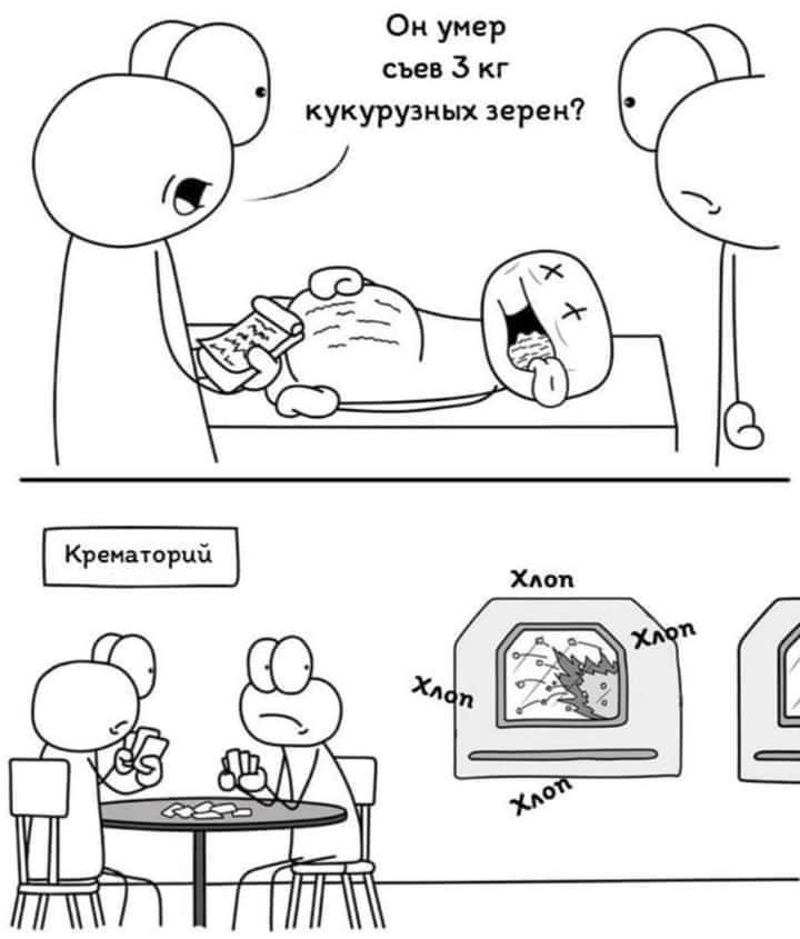 Он умер съев 3 кг кукурузных зерен Кршторий