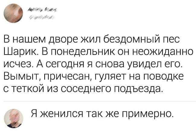 В нашем дворе жил бездомный пес Шарик В понедельник он неожиданно исчез А сегодня я снова увидел его Вымыт причесан гуляет на поводке с теткой из соседнего подъезда Я женился так же примерно