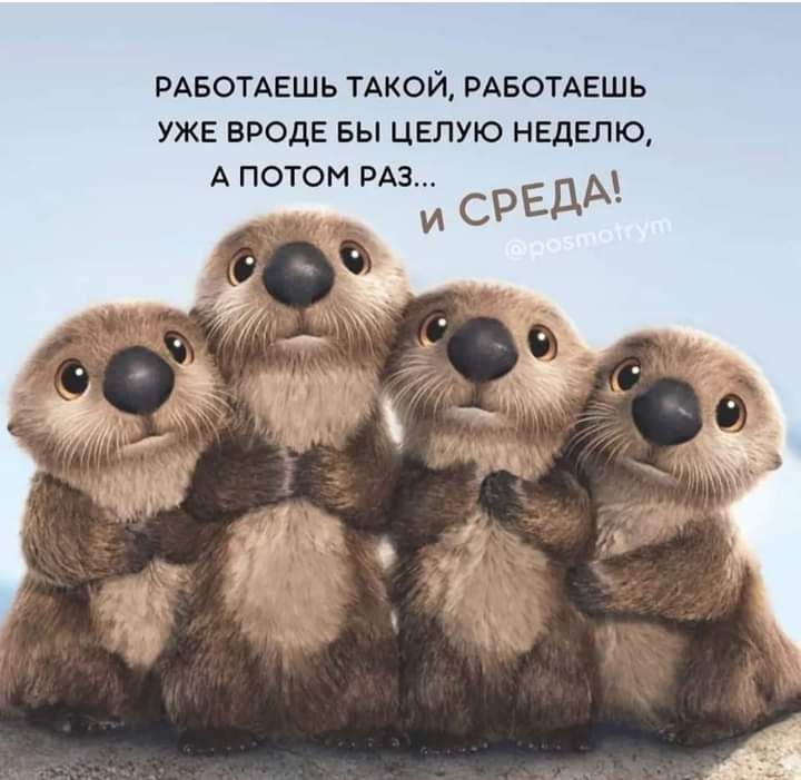 РАБОТАЕШЬ ТАКОЙ РАБОТАЕШЬ УЖЕ ВРОДЕ БЫ ЦЕЛУЮ НЕДБПО А ПОТОМ РАЗ СРЕДА