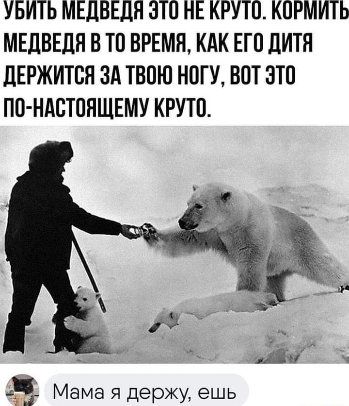 УБИТЬ МЕДВЕДЯ ЭТО НЕ КРУТО КПРМИТЬ МЕДВЕДЯ В ТП ВРЕМН КАК ЕГП ДИТЯ ДЕРЖИТСН ЗА ТВОЮ НОГУ ВПТ ЭТП ПП НАСТОЯЩЕМУ КРУТО 5 Мама я держу ешь