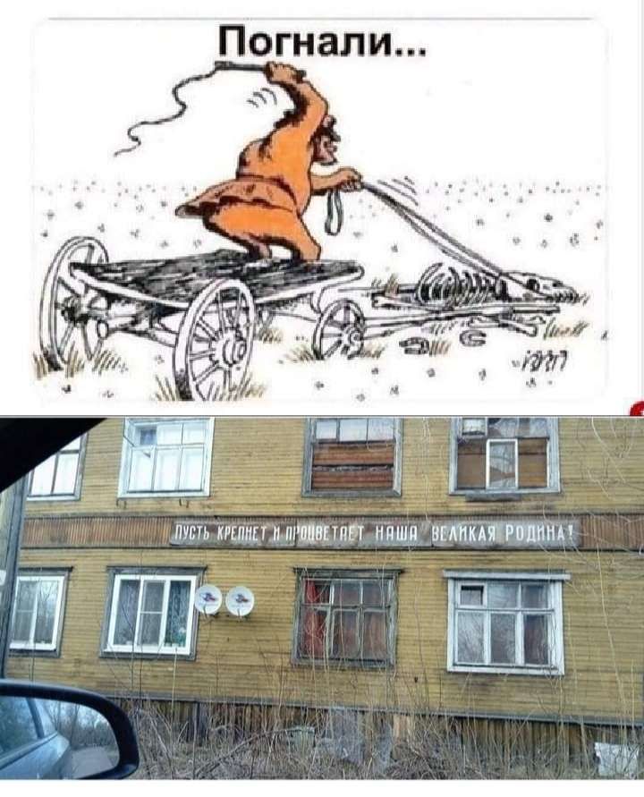 Погнали