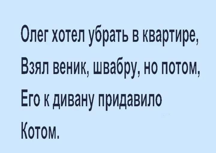 Олег хотел убрать в квартире Взял веник швабру но потом Его кдивану придавило Котом