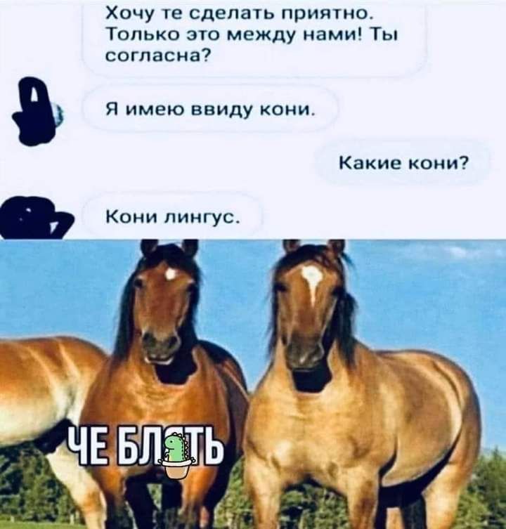 Хочу те сдепаь притио Топькц его между нами Ты согласна я имею ввиду оии Какие оии Кони пиигус
