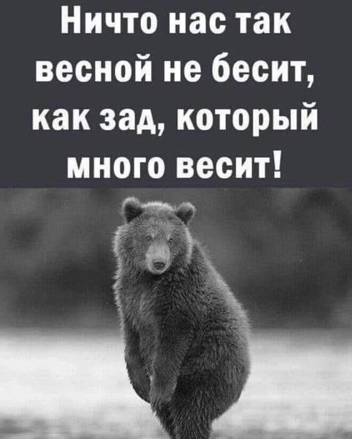 Ничто нас так весной не бесит как зад который много весит 2