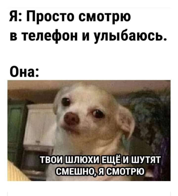 Я Просто смотрю в телефон и улыбаюсь ТВОИ ШПЮХИ ЕЩЁ И ШУТЯТ СМЕШНО Я СМОТРЮ_
