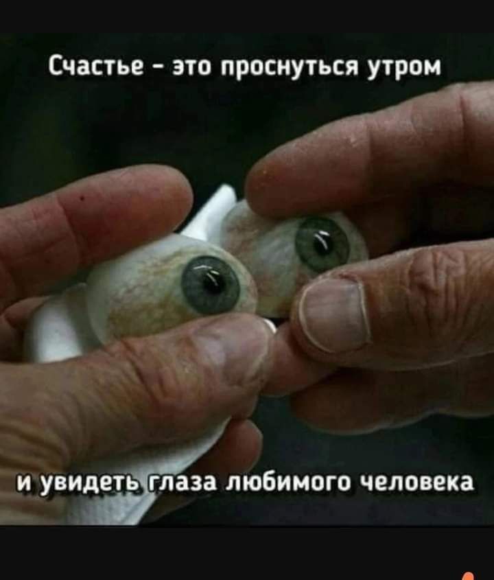 СЧЗСТЪЕ ЭТО проснуться ПРОЦ __ _ _ЁУЗМТ а любимого человека __