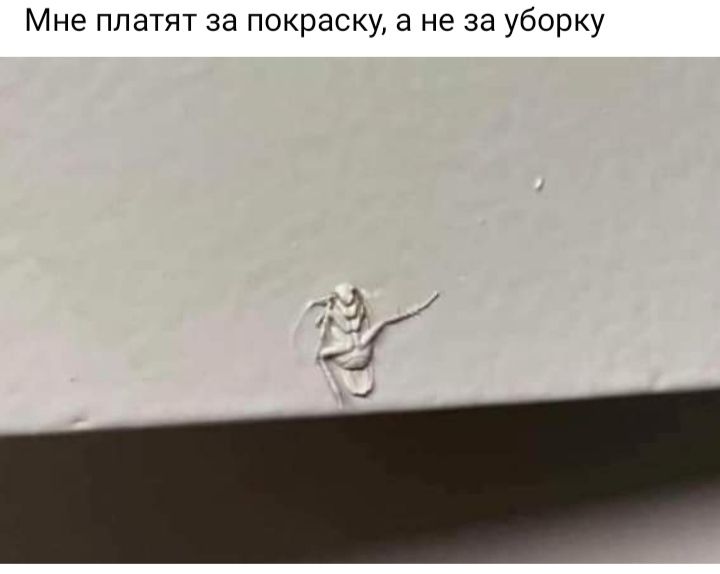 Мне платят за покраску не за уборку