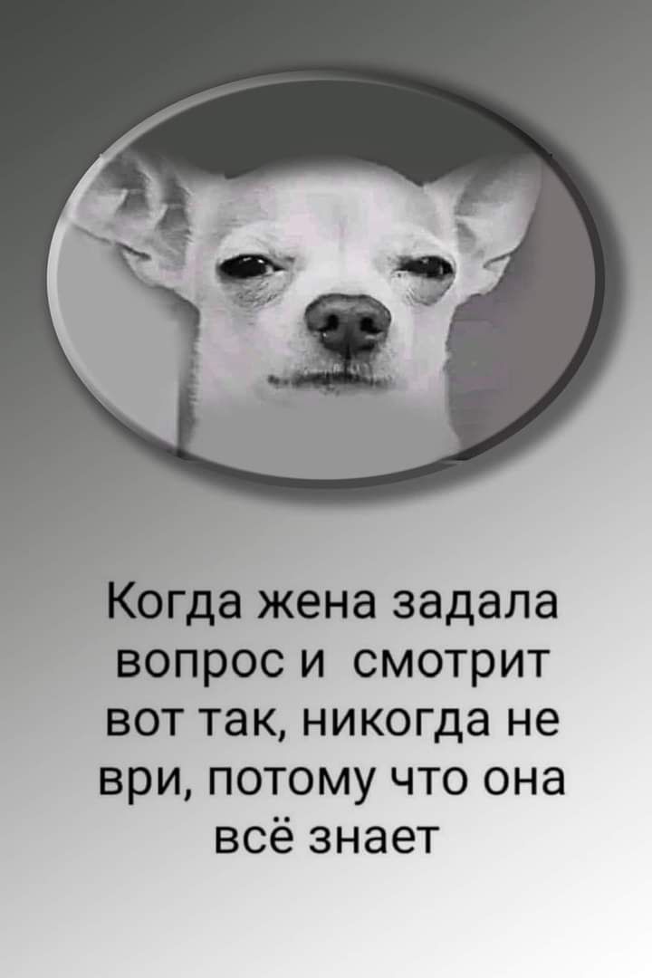 Когда жена задала вопрос и смотрит вот так никогда не ври потому что она всё знает