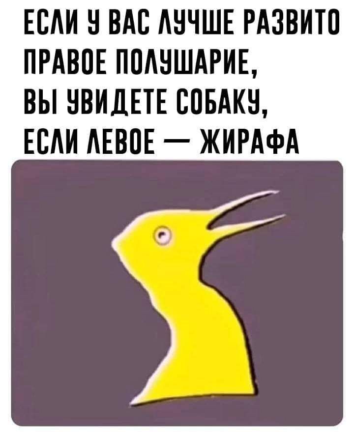 ЕБАИ В ВАС АНЧШЕ РАЗВИТП ПРАВПЕ ПШШШАРИЕ ВЫ НВИДЕТЕ ППБАКН ЕСАИ АЕВПЕ ЖИРАФА
