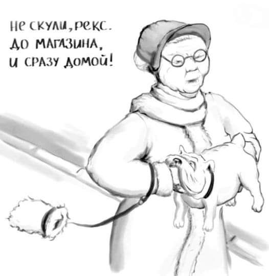не куштекс Ао мтзшм и ст домой