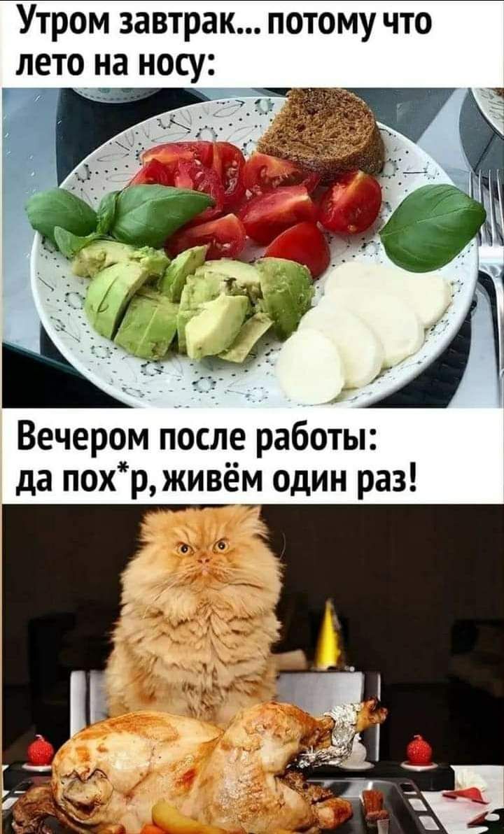 УТРОМ завтрак ПОТОМУ ЧТО ЛЕТО на НОСУ д Вечером после работы да похр живём один раз