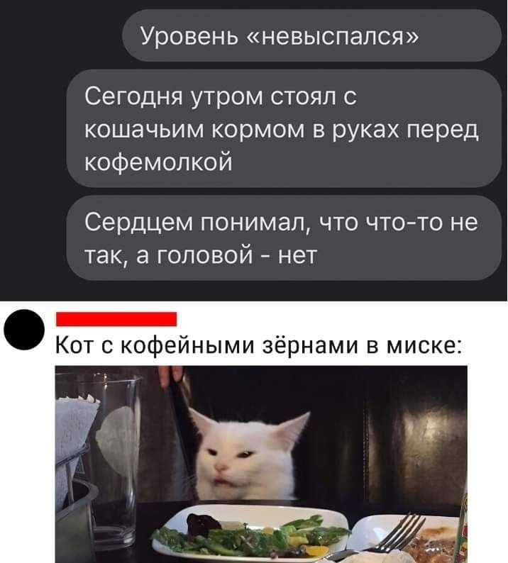 Уровень невыспапся Сегодня утром стоял с кошачьим кормом руках перед кофемолкой Сердцем ПОНИМЭП ЧТО ЧТО ТО не так а головой нет _ т кофейными зёрнами в миске