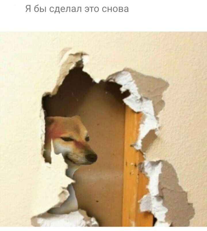 Я бы сделал это снова