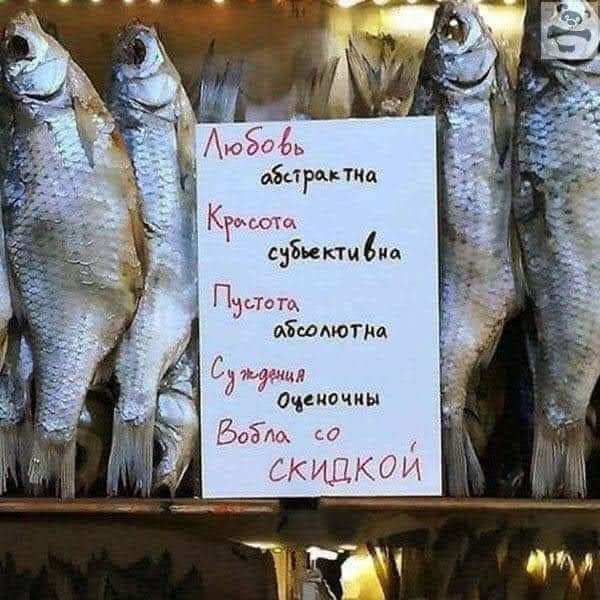 пгтмп щн овциы