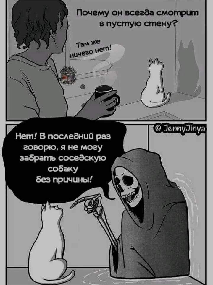 Почему он квад смотрит в пуапую стену тп Зепп Ши Нет В пшеанип раз у у говорю я не могу забрать сосеаскую сдбаку Без причины