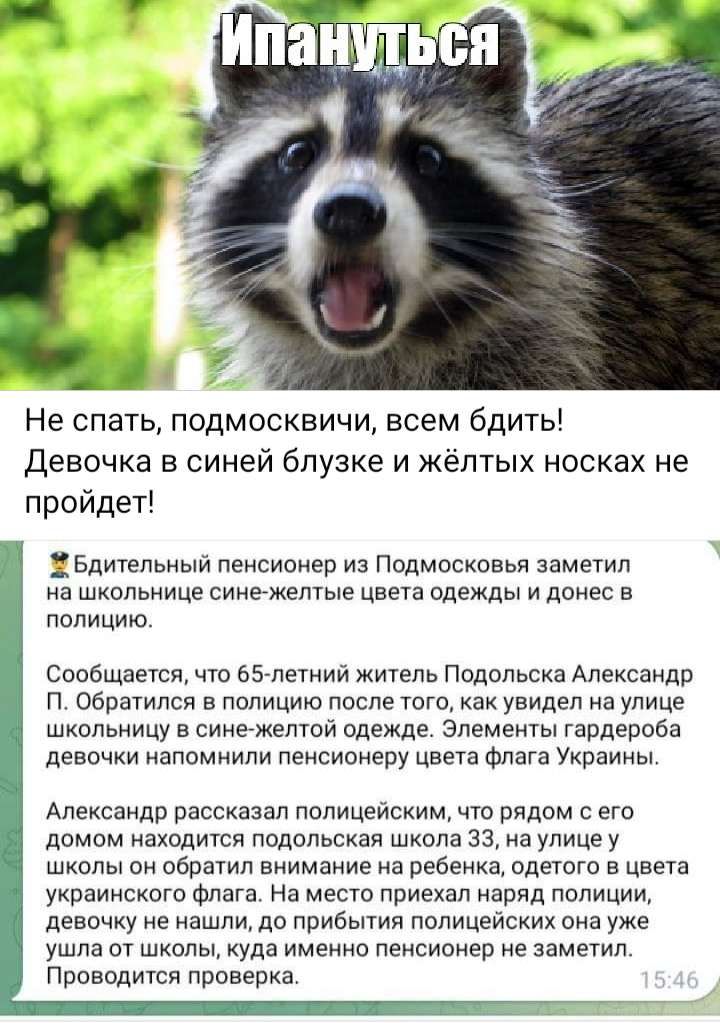 Не спать подмосквичи всем бдить Девочка в синей блузке и жёлтых носках не пройдет 1 Бдительный пенсионер из Подмосковья заметил на школьнице сингжелгые цвега одежды и доме в полицию Сооощаетсл что ЬБапетний житель Подольска Александр п Обратился е полицию после то как уеидел на улице школьницу в синегжептой одежде алемещы гаддероЬа деесчкн напомнили пенсионеру цвета Флага Украины Александр Рассказ
