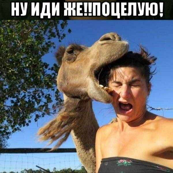 НУ иди ШШПВЦЕПУЮ