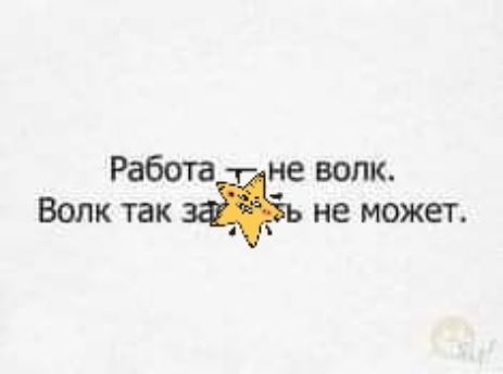 Работа не волк Волк так 3 не может