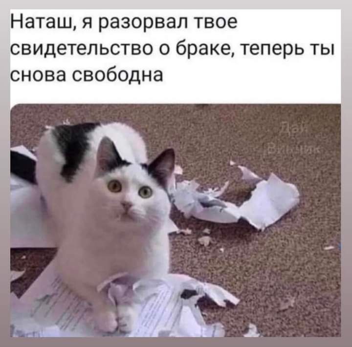 Наташ я разорвал твое свидетельство о браке теперь ты снова свободна