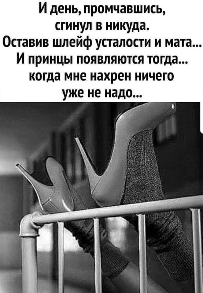 И день промчавшись сгинул в никуда Оставив шлейф усталости и мата И принцы появляются тогда когда мне нахрен ничего уже не надо