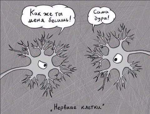 Как же ты шпиц Б иш