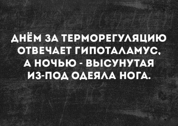 АНЁМ ЗА ТЕРМОРЕГУАЯЦИЮ ОТВЕЧАЕТ ГИПОТАААМУС А НОЧЬЮ ВЫСУНУТАЯ ИЗ ПОА ОАЕЯАА НОГА
