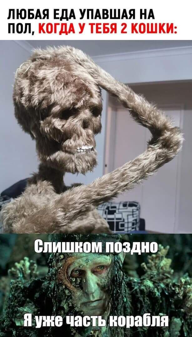 ЛЮБАЯ ЕДА УПАВШАЯ НА ПОЛ тв чясрцінопабпн