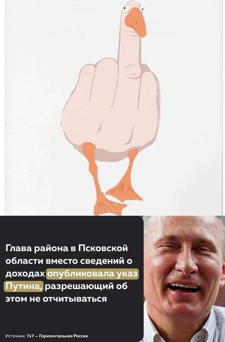 Глава района в Псковской области вместо сведений 0 _разрешающий об этом не отчитываться