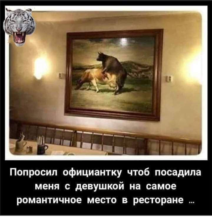 Попросил официантку чтоб посадила меня с девушкой на самое романтичное место в ресторане