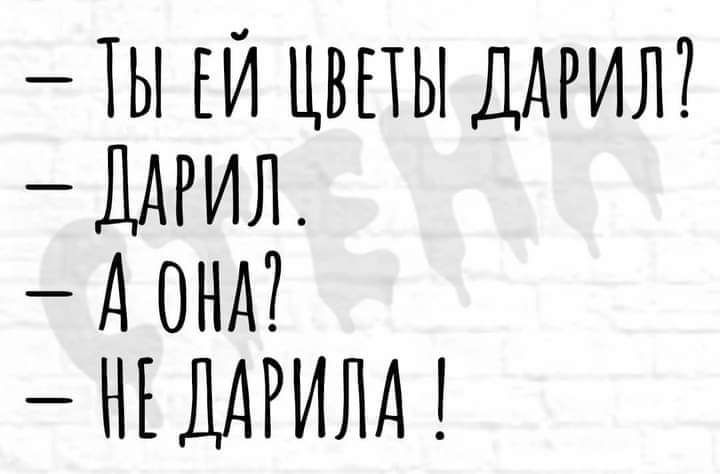 ТЫ ЕЙ ЦВЕТЫ ДАРИЛ ДАРИЛ А ОНА НЕ ДАРИНА