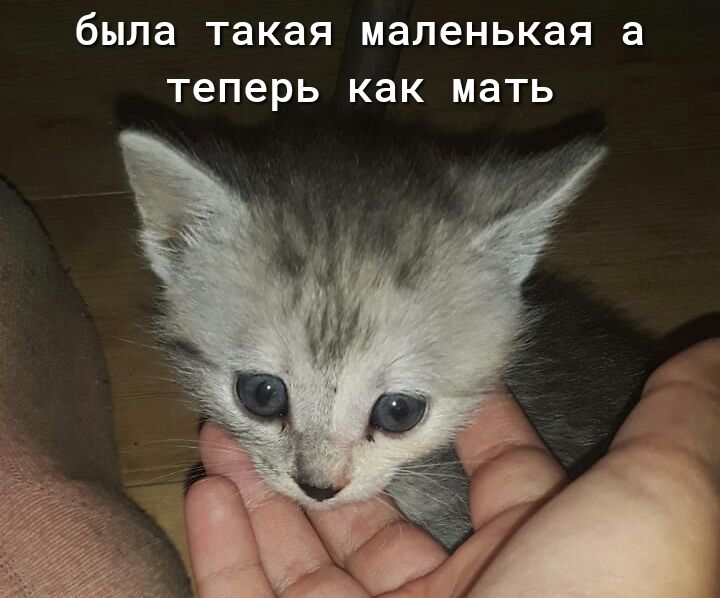 была такая маленькая а Теперь как МЭТЬ