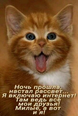Ночь п янастал ассвет Явключа инте нет Там ведь вс _ мои друзья Милые вот и я