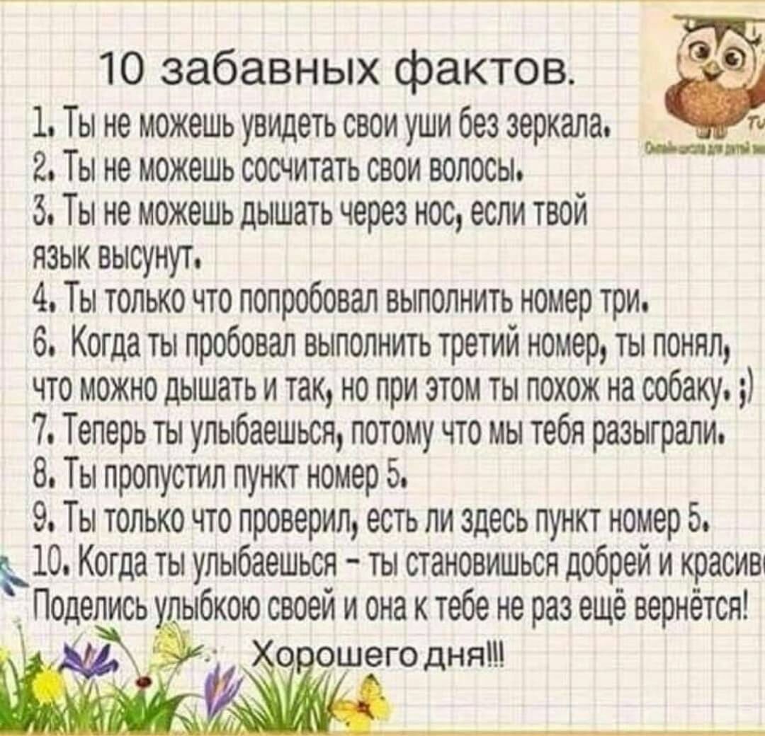 ъ 10 забавных фактов 1 Ты не можешь увидеть свои уши без зеркала __г 2 Ты не можешь сосчитать свои волосы 5 Ты не можешь дышать через нос если твой язык высунут 4 Ты только что попробовал выполнить номер три 6 Когда ты пробовал выполнить третий номер ты понял что можно дышать и так но при этом ты похож на собаку 7 Теперь ты улыбаешься потому что мы тебя разыграли 8 Ты пропустил пункт номер 5 9 Ты 