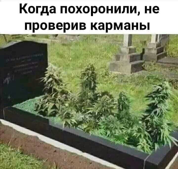 Когда похоронили не проверив карманы _ ы 7 1 1