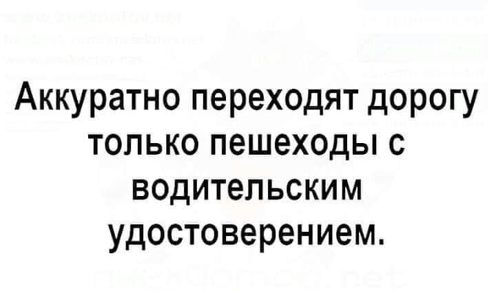 Аккуратно переходят дорогу только пешеходы с водительским удостоверением