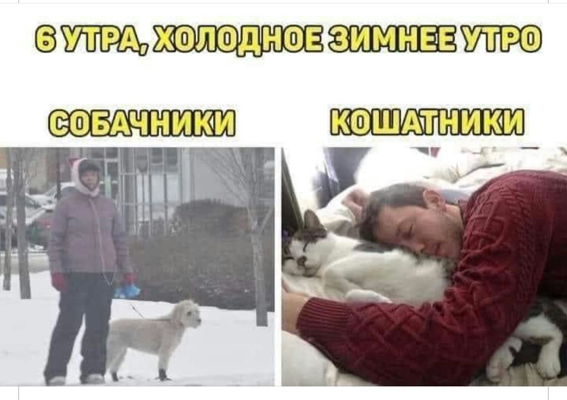 УТРА ХФЛОДНОЕ ОБАЧНИК КФШАчТНИКМ