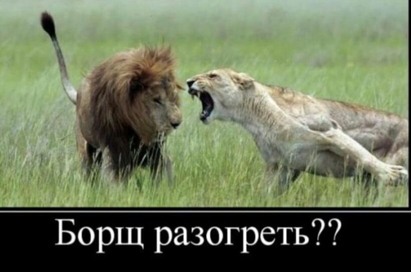 Борщ разогреть