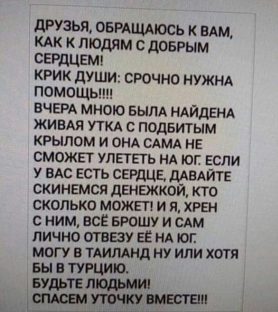 друзья ОБРАЩАЮСЬ к ВАМ КАК К людям с доврым сердцеш крик дУШИ срочно НУЖНА ПОМОЩЬ ВЧЕРА мною БЫЛА НАЙДЕНА ЖИВАЯ УТКА с подвитым крылом и 0НА САМА не сможет улететь НА юг если у ВАС есть сердце ДАВАЙТЕ скинемся денежкой кто сколько может и я хрен с ним все БРОШУ и САМ лично отвезу ее НА юг могу в ТАИЛАНД ну или хотя вы турцию БУДЬТЕ людьмш спАсвм при вместе